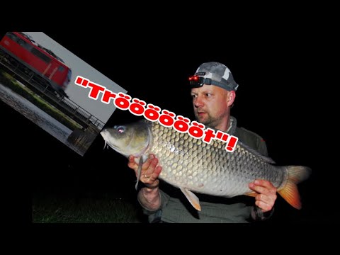 Matze Koch Nostalgia! Carp on Krachmacherstraße