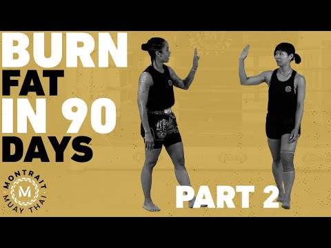 30 Minutes of HEAT – Fat Burning Muay Thai Home Workout – Almost There! – 90 Day Challenge PART 2