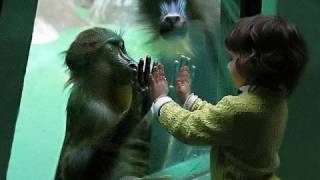 Barbara Belle - Game