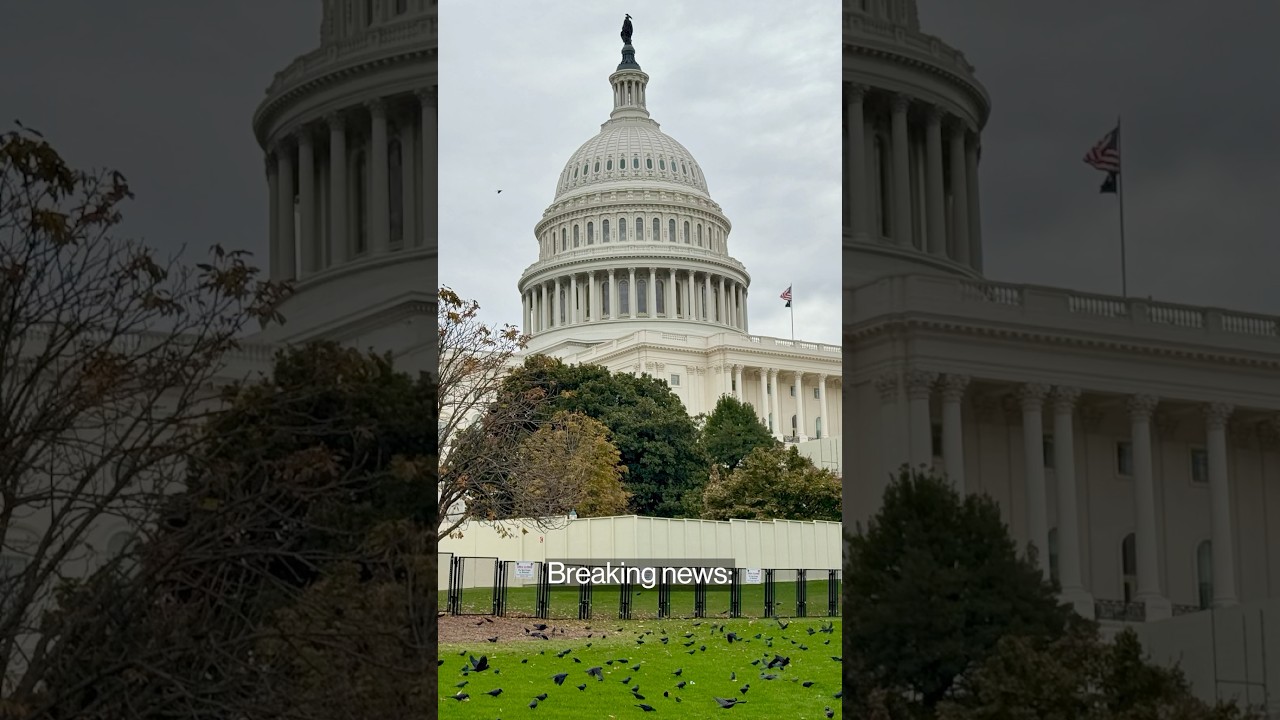 Trump Wins Republican Trifecta as GOP Retains House Majority