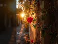 Oru Vezham Nitham Oru Vaanam WhatsApp Status