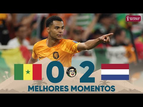 SENEGAL 0 X 2 HOLANDA 
