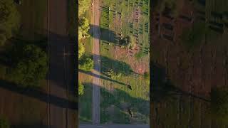 Tucson Cemetery Drone Footage #drone #tucsondrone #arizonadrone #southwestdronetech