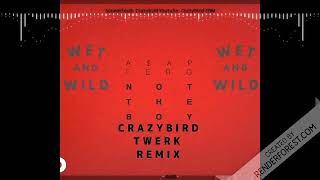 A$AP Ferg - Not the Boy (Crazybird Remix)