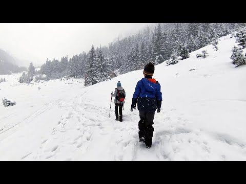 Round trip to Sâmbăta chalet, Făgăraș mountains