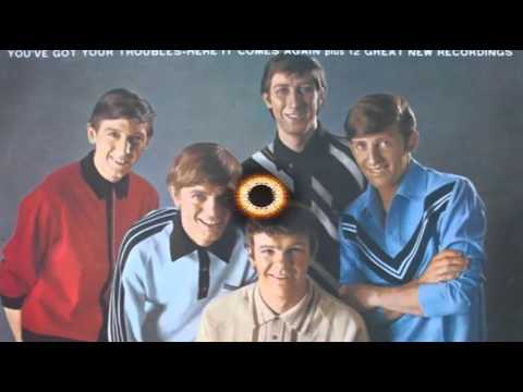 The Fortunes - Is It Really Worth Your While