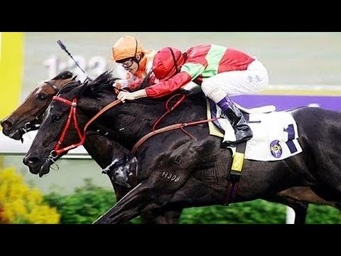 2007 The Chinese Recreation Club Challenge Cup - DAO DAO (大腦) - 韋達