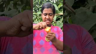 Download lagu Survival Skills: SMART ideas and Usefulin forest#survival #campping #vairal 😃😛k534 mp3