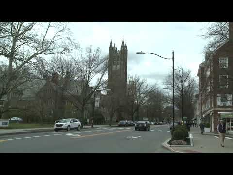 Princeton Legacy Admissions