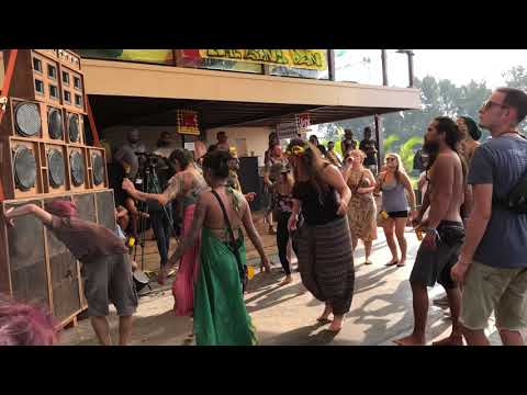 10.000 Lions Soundsystem - Creation Melody (Disciples) 'steppa Time @GoaSunsplash  10 Jan 2020