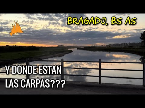QUE ENCONTRAMOS PESCANDO EN EL CANAL DE BRAGADO?