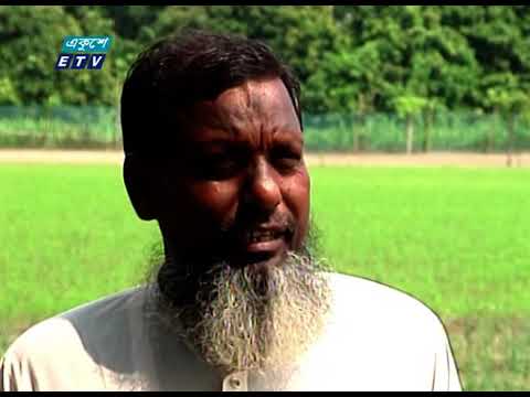 পেয়াজ উৎপাদনে কৃষকদের ঋণ দেয়ার তাগিদ সংশ্লিষ্ট প্রতিষ্ঠানগুলোর