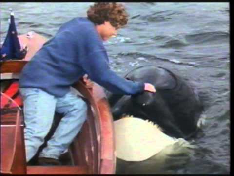 Free Willy 2 : The Adventure Home - VHS Commercial - 1995