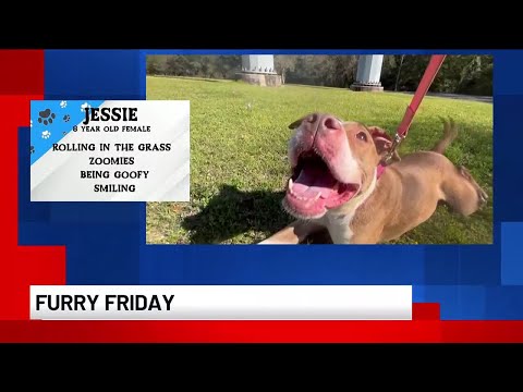 Furry Friday: Jessie