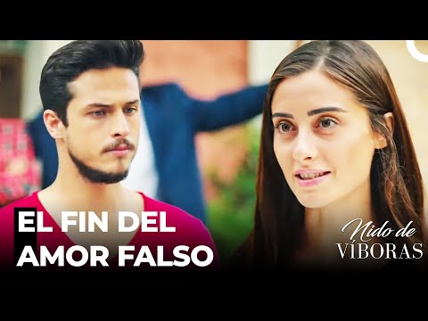 Ejder Le Abandonó A Elvan - Nido De Víboras