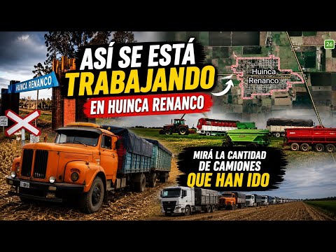 COSECHA de MAÍZ en HUINCA RENANCÓ 📍CÓRDOBA 🚛🌽