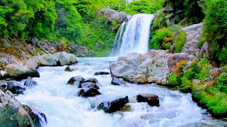 Download lagu Sad Instrumental Bamboo Flute (Rapuh By BoyraZli) mp3 Download lagu Sad Instrumental Bamboo Flute (Rapuh By BoyraZli) mp3