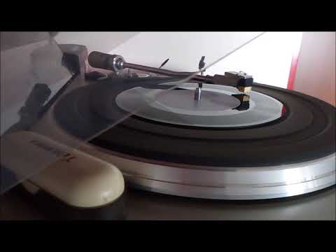 Staggerman - Rabid dog (vinyl 7" personal edition)