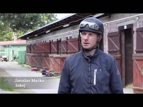 Dostihový magazín - 15. června 2020