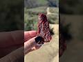Everything I Ate On A Hiking Trip With My Niece