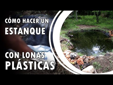 download lagu mp3 mp4 Lona Estanque, download mp3 Lona Estanque free download mp3, download mp3 Lona Estanque