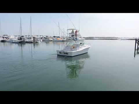 Cabo 35 Express video