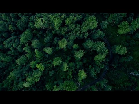 Discover unparalleled sustainability with Fakhruddin Properties.