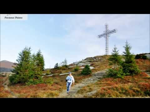 Pensiunea Daiana Straja