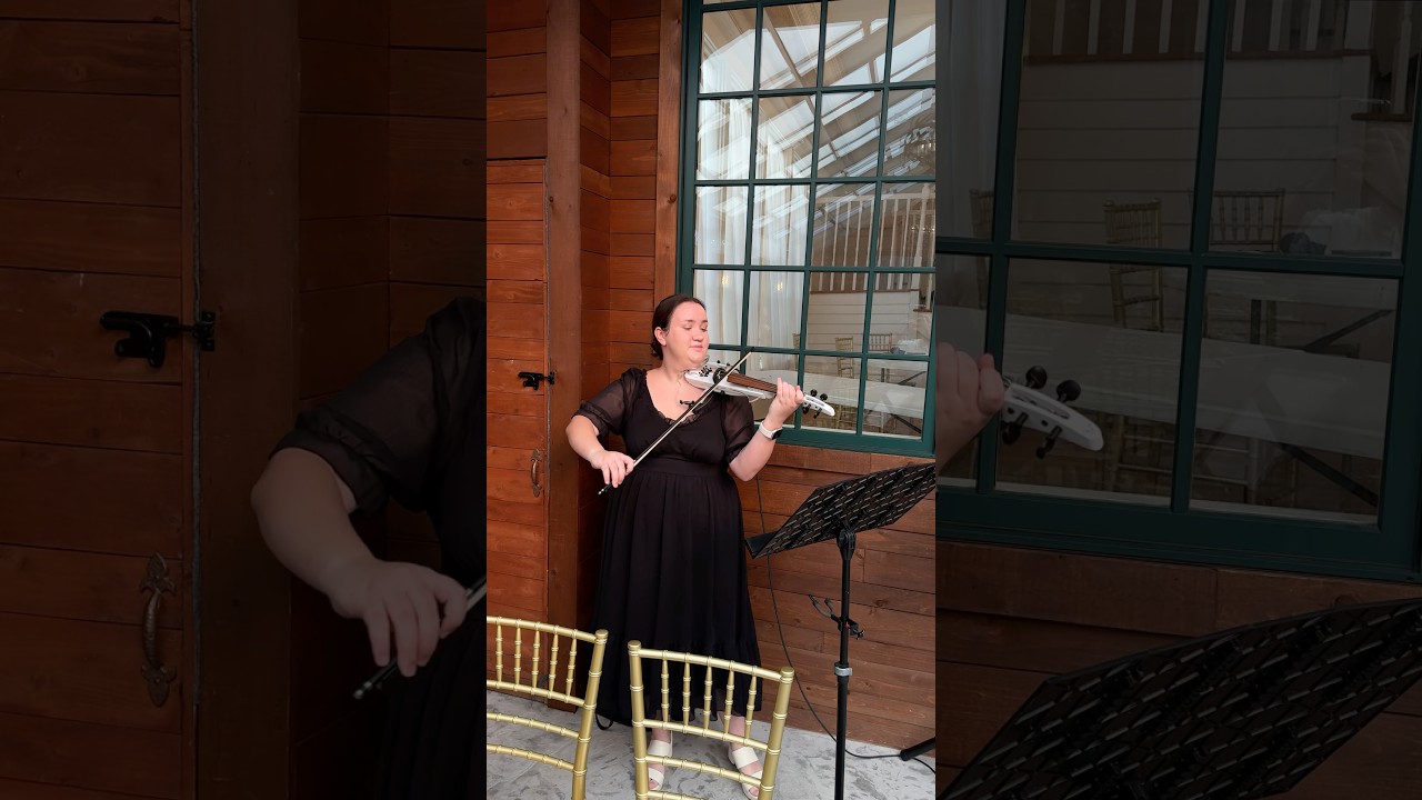 Promotional video thumbnail 4 for Anastasy Violin