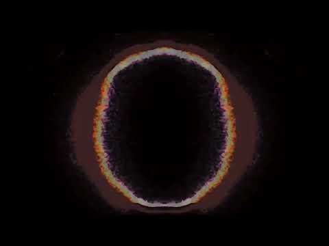 NEUROTRIBE - SEVEN DAYS