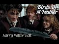 Billie Eillish Birds Of A Feather Harry Potter Edit