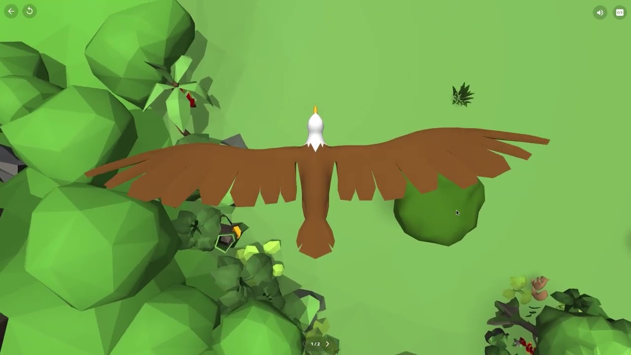 Video preview placeholder
