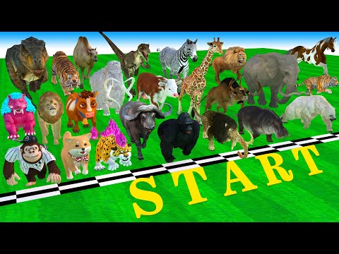 39 Incredible Animals Race vs Dinosaurs vs Prehistoric Mammals Speed Race Run: Who Will Win? ARBS