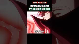 사황 샹크스도 참지 못한 분노의 패왕색 패기 ㄷㄷ