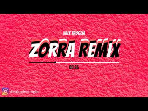 ZORRA REMIX - BAD GYAL (VALE TROGLIA)