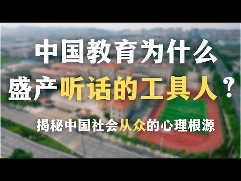 为什么中国式逻辑就是不讲逻辑？中国教育为什么盛产听话的工具人？揭秘中国人从众的心理根源｜社会学｜心理学｜原始思维｜集体表象｜