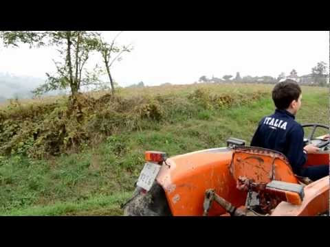 Vendemmia 2012, tutti sul trattore!