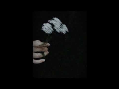 Ahvali Efgan - Bahçemizde Çiçekler Açsa