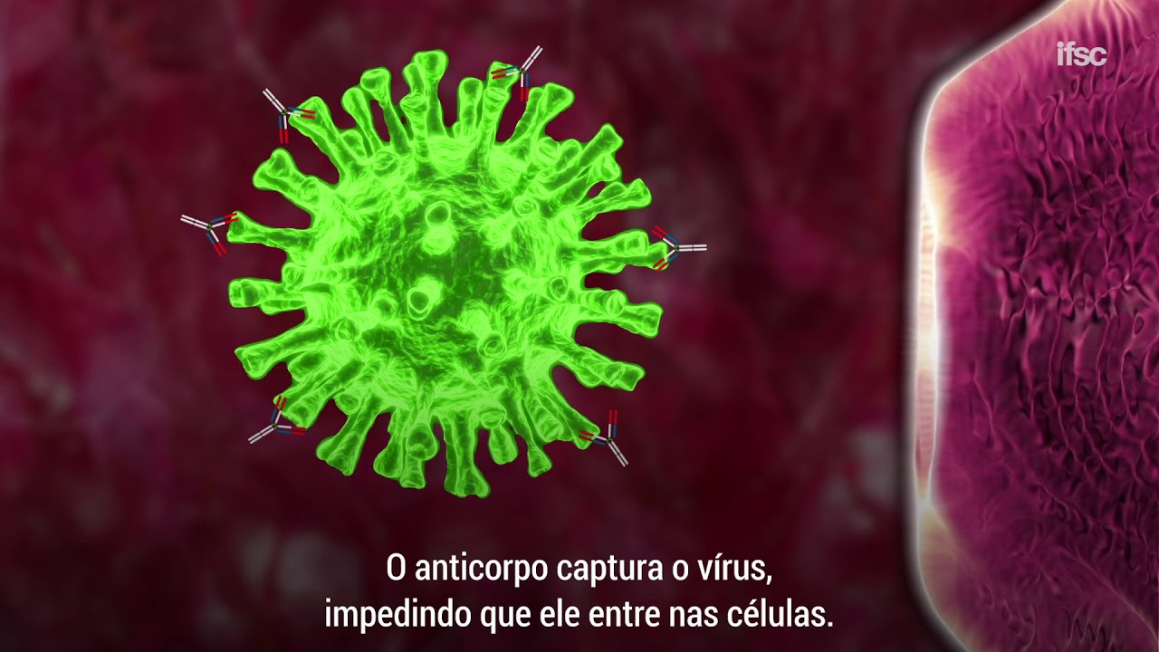 IFSC Verifica | Como funciona a vacina