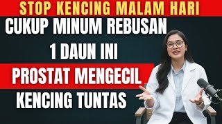 Download lagu BARU 1 MALAM MINUM INI, Pria 60 Tahun Berhenti Kencing Malam Hari. Rahasia Daun Ajaib Prostat mp3