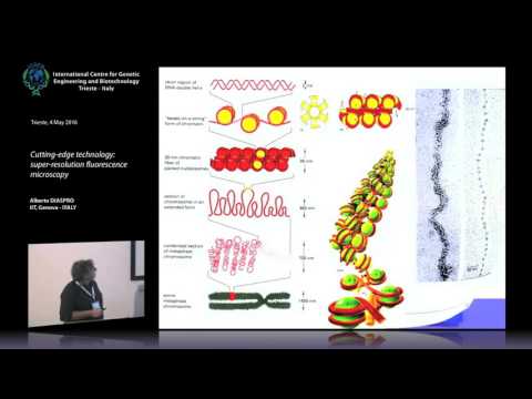 A. Diaspro - Cutting-edge technology: super-resolution fluorescence microscopy