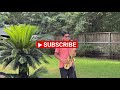 Ek Haseena Thi Kishore Kumar Full Song Saxophone Instrumental