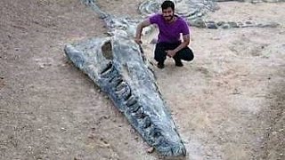 Most Terrifying Prehistoric Creatures