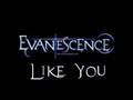 Evanescence - Like You (The Open Door) 