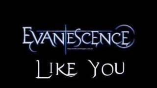 Evanescence - Like You (The Open Door)