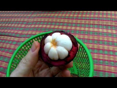 Picking and Eating a Ripe Purple Mangosteen/ Garcinia Mangostana