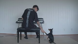 Video thumbnail for Modestep - Bass Evolution Sample Pack by Disciple