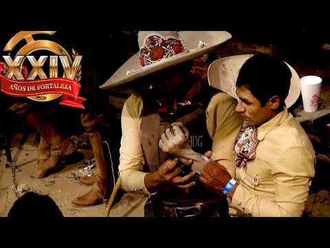 JINETES vs TOROS de REPARO - Jineteo de Toro dia 28 - Campeonato Millonario 2021 THV