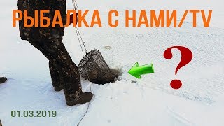 Ловля карася в морды зимой