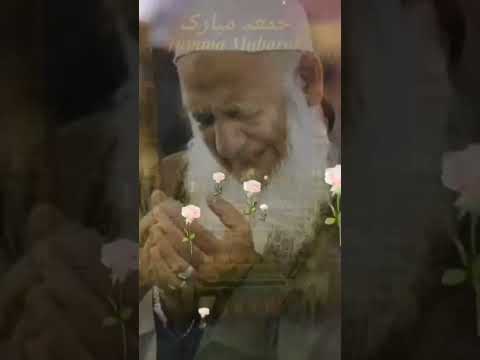 Jo miralam next video